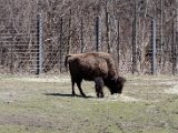 DSC_0770.jpg