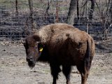 DSC_0771.jpg