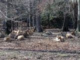 DSC_0773.jpg