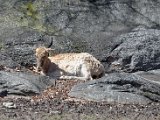 DSC_0776.jpg