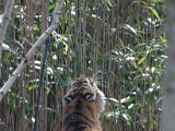 DSC_0777.jpg