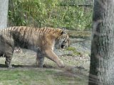 DSC_0778.jpg