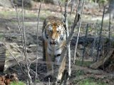 DSC_0781.jpg