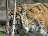 DSC_0783.jpg