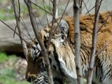 DSC_0784.jpg