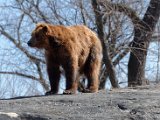 DSC_0788.jpg