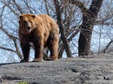 DSC_0789.jpg