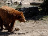 DSC_0790.jpg