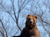 DSC_0791.jpg