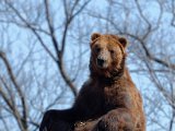 DSC_0792.jpg