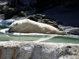 DSC_0793.jpg