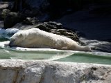 DSC_0794.jpg