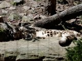 DSC_0798.jpg
