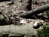 DSC_0799.jpg