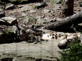 DSC_0802.jpg