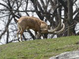 DSC_0805.jpg
