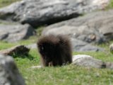 DSC_0806.jpg