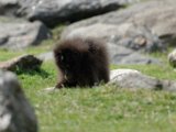 DSC_0807.jpg