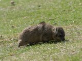 DSC_0809.jpg
