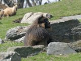 DSC_0810.jpg