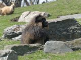 DSC_0811.jpg