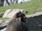 DSC_0813.jpg