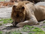 DSC_0817.jpg