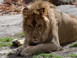 DSC_0820.jpg