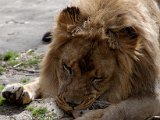 DSC_0824.jpg