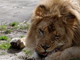 DSC_0826.jpg