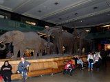 DSC_0838.jpg