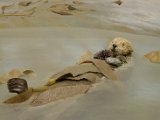 DSC_0844.jpg