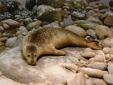 DSC_0845.jpg