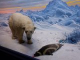 DSC_0851.jpg