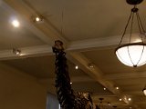 DSC_0857.jpg