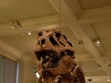 DSC_0860.jpg
